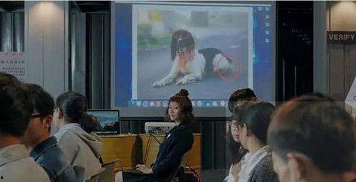 宫廷剧吃瓜群众视频播放,揭秘幕后精彩瞬间