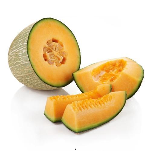 鱼儿吃哈密瓜好吗视频大全,趣味视频大盘点