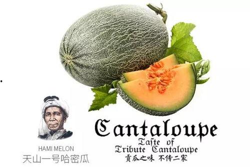 蜜瓜节吃瓜视频,年度吃瓜狂欢视频大赏