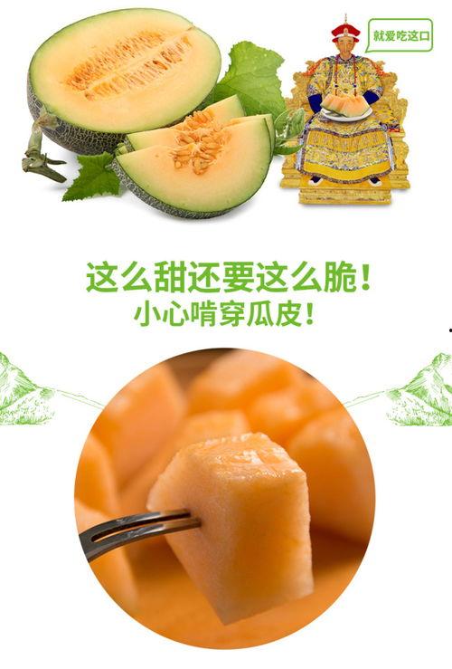 蜜瓜节吃瓜视频,年度吃瓜狂欢视频大赏