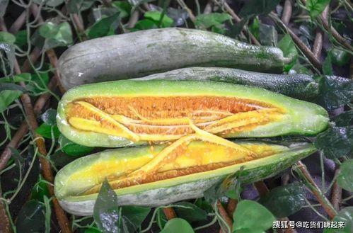 超级吃瓜的视频,带你领略热门视频背后的故事