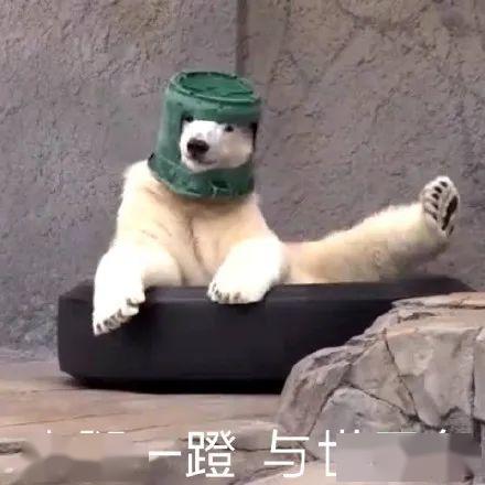 带你吃瓜沙雕厨艺视频,带你吃瓜看“带你吃瓜沙雕”视频中的美味瞬间