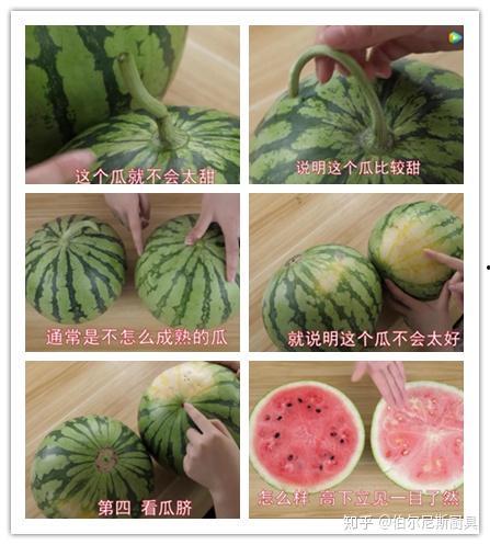 瓜藤吃瓜视频,揭秘网络热门视频背后的故事