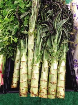 吃甜白兰瓜视频,揭秘甜白兰瓜的独特魅力