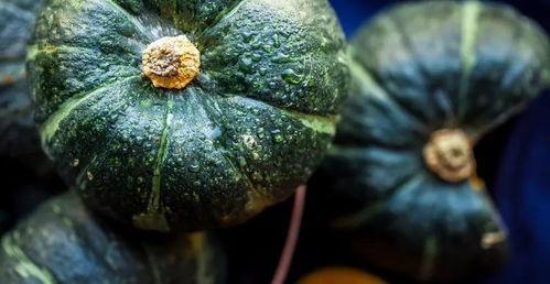 吃瓜会不会吃胖呢视频,揭秘吃瓜不会吃胖的秘诀