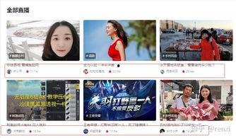 吃瓜直播间 解说视频,揭秘热门解说视频背后的故事