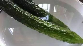 吃瓜黄料视频下载安装,吃瓜黄料视频下载安装全攻略