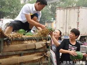 兰陵县吃瓜事件视频,一场引发热议的网络风波