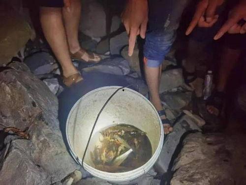 奉节吃瓜后续事件视频,后续视频揭示惊人真相