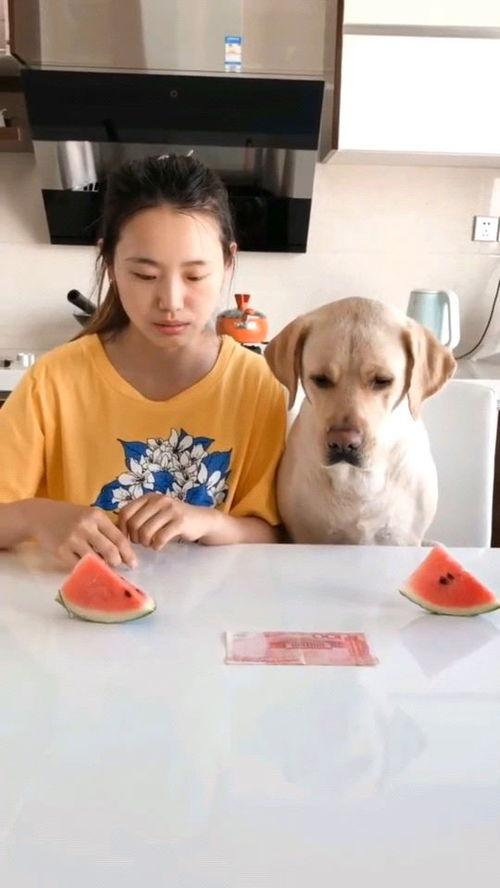 外国人吃火瓜视频,趣味横生体验本土美食