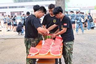 朝阳市吃瓜群众事件视频,网络围观下的社会现象解析