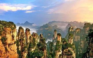 张家界最新吃瓜视频,揭秘网红打卡地幕后趣闻