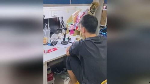 解剖吃瓜视频是一个人吗,揭秘幕后操作者的神秘面纱