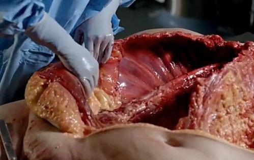 解剖吃瓜视频是一个人吗,揭秘幕后操作者的神秘面纱