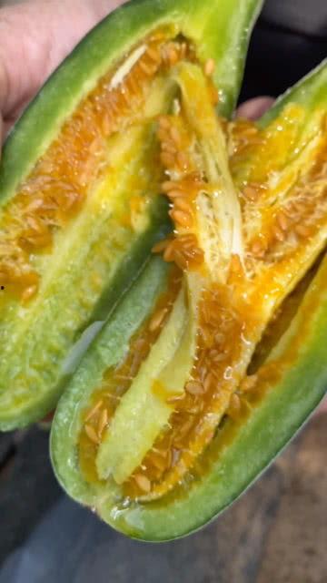 会吃瓜的作品有哪些呢视频,揭秘热门视频背后的趣味故事