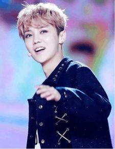 鹿晗八卦吃瓜视频合集,娱乐圈风云再起