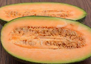 傻瓜吃哈密瓜视频大全下载,傻瓜吃哈密瓜视频大全，笑料横生，欢乐无限！