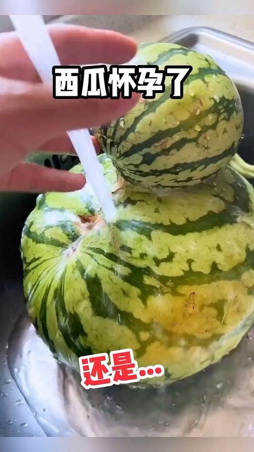 吃瓜有趣的视频