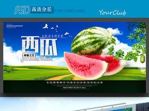 吃瓜唯美视频素材下载网站,海量资源一网打尽