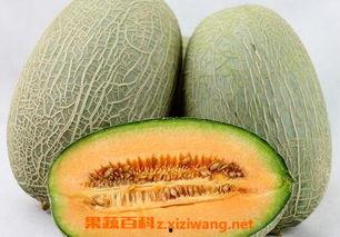 吃哈密瓜孩子视频播放大全,孩子欢乐食光大盘点