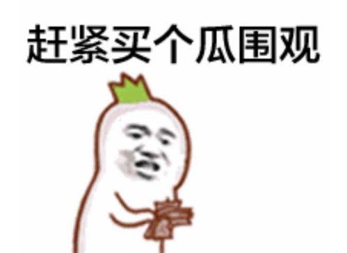 山水吃瓜群众视频,揭秘视频背后的趣味与思考