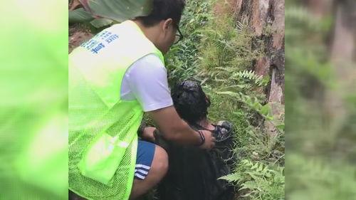 江门开平吃瓜事件视频,一场引发热议的网络视频风波